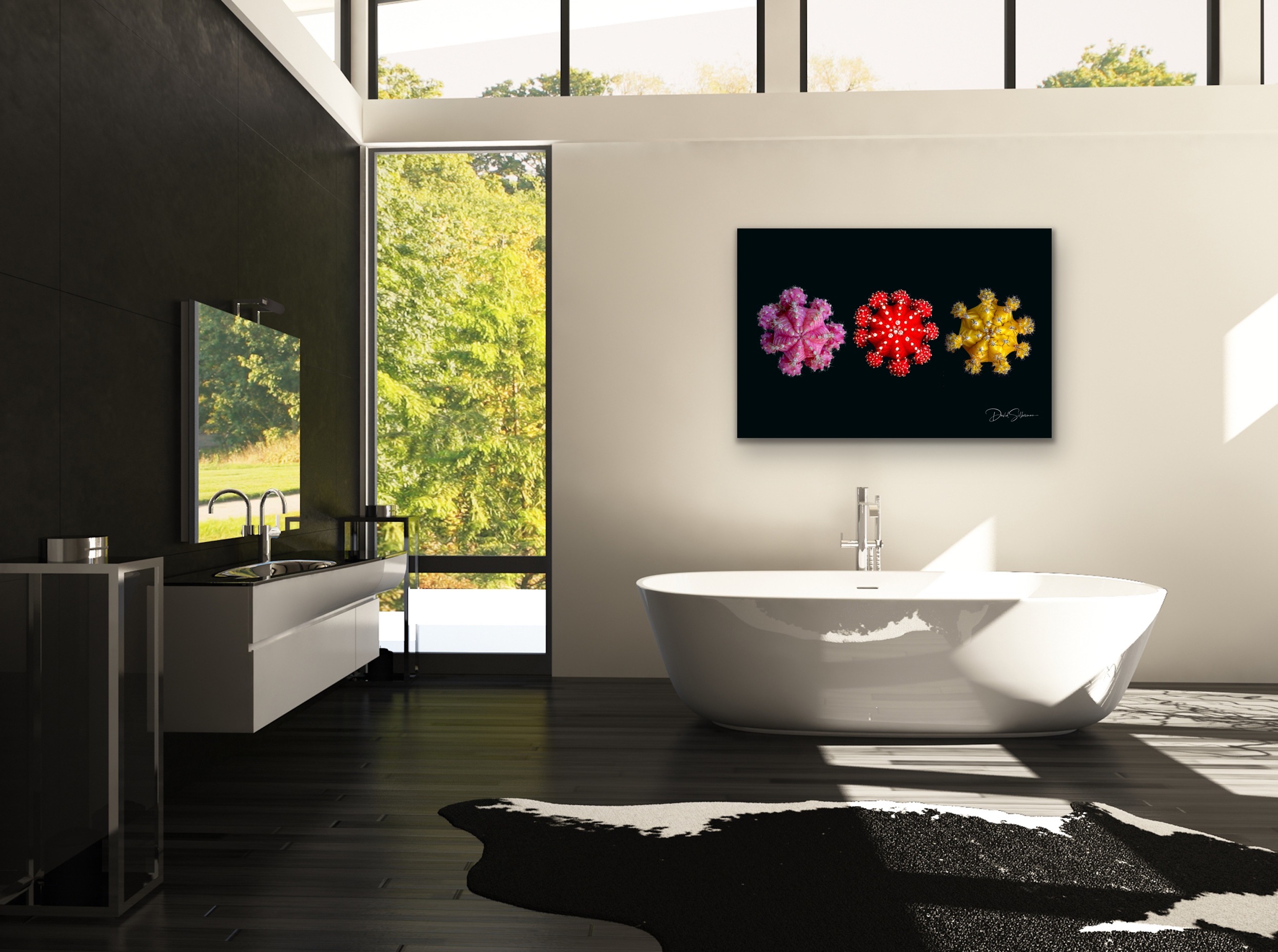 cactus group on wall