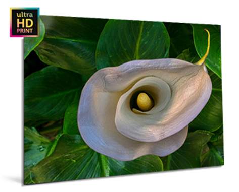 Acrylic Photo Prints